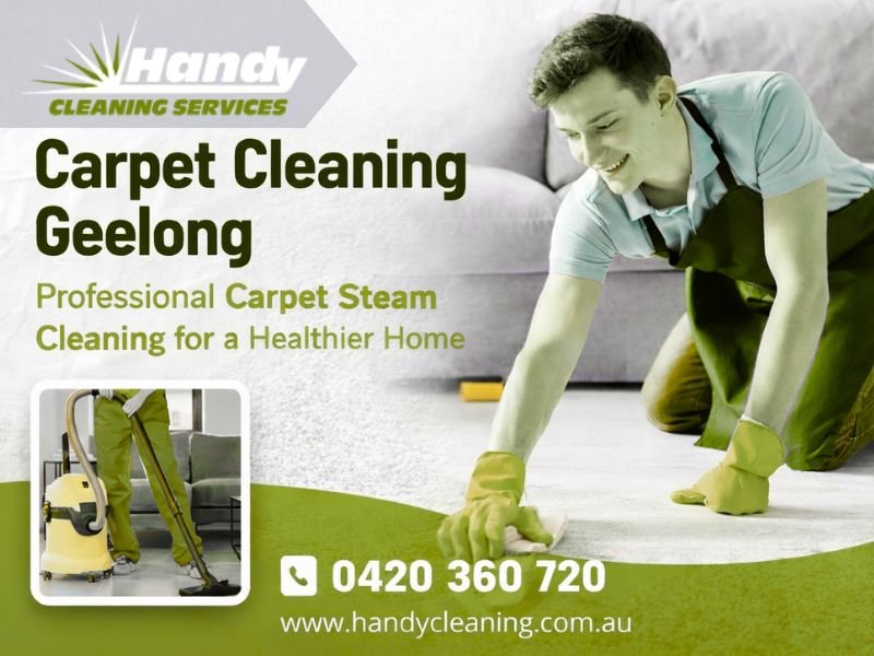 Professional Carpet Steam Cleaning For A Healthier Home