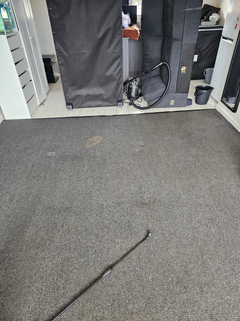 Carpet Cleaning Before Service