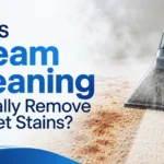 Does Steam Cleaning Actually Remove Carpet Stains