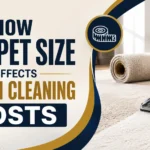 How Carpet Size Affects Steam Cleaning Costs