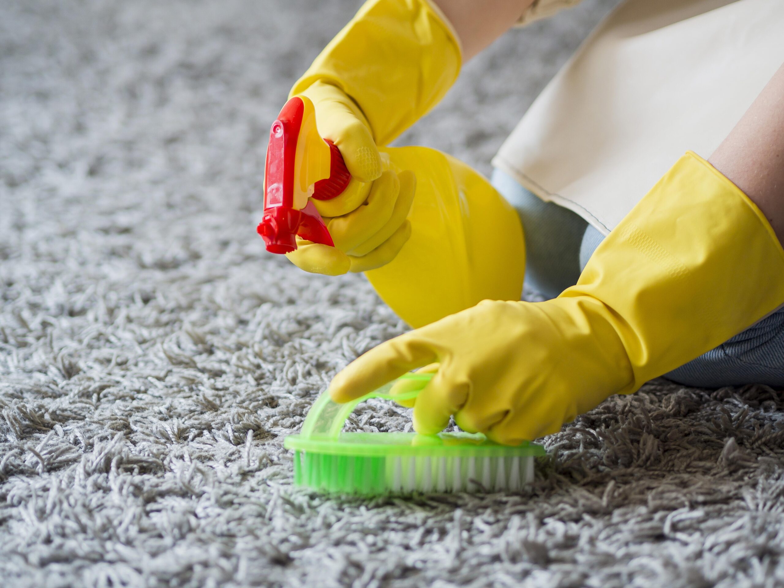 disinfecting carpet